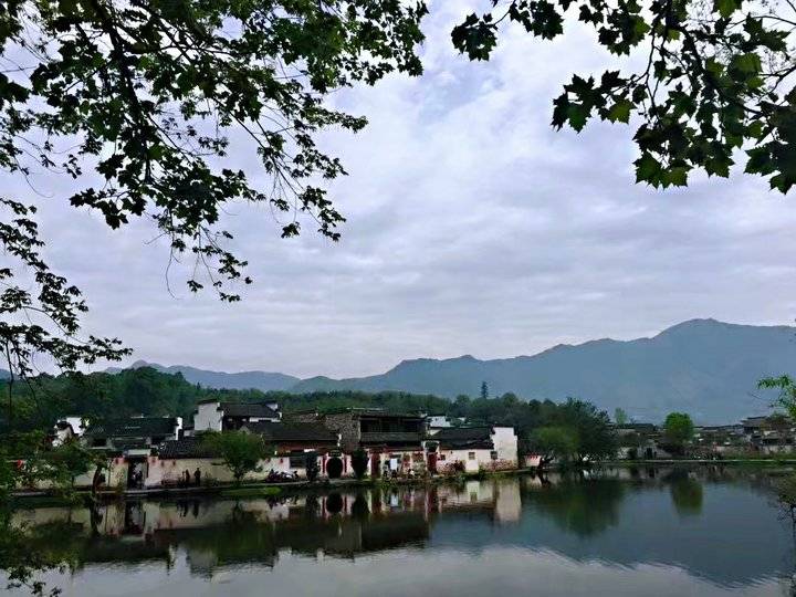 《黄山之旅》这真的只是抛砖引玉,更美的在后面